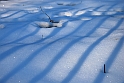 S. Damiano d'Asti - Ultima neve e brina_013